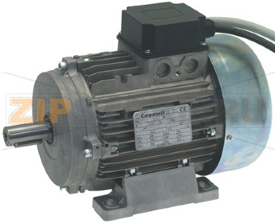 MOTORE PER PLANETARIA PL60VAR 