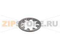 WASHER, 1/4 INT LOCK SS