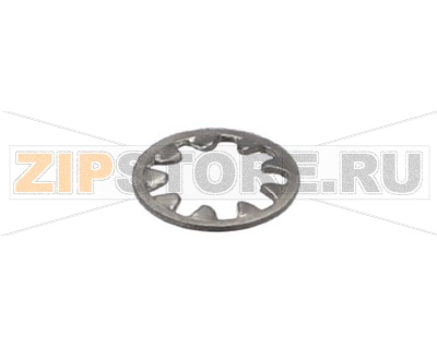 WASHER, 1/4 INT LOCK SS 