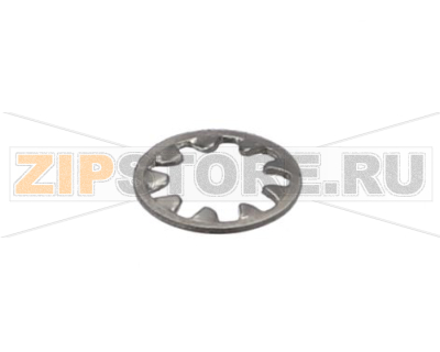 WASHER, 1/4 INT LOCK SS 