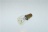 E/G4103/4063 OVEN BULB