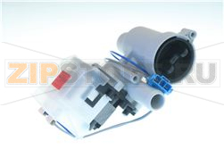 Pump Assembly,Drain 