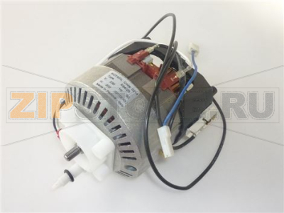MOTORE FRULLATORE 220V COMPLETO 