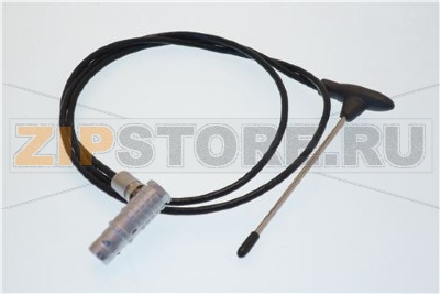 Sonda cuore con spina di angolo 