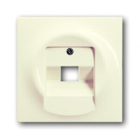 Накладка для однопостовой розетки с полем для надписи ABB 2CKA001753A0085