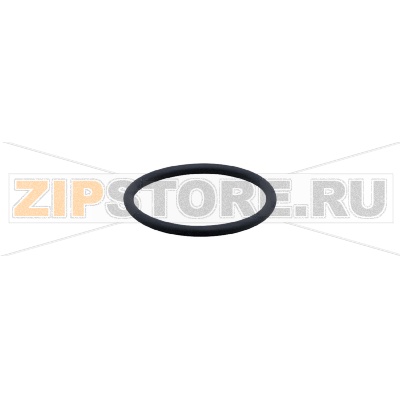 O-кольцо IFM E30123 
