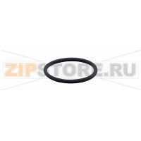O-кольцо IFM E30123