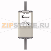 Предохранитель, 160 A, AC 1000 В, 150 кА, DIN 1, 43x61x138 мм, aR, DIN, IEC Eaton FUSE 160A 100