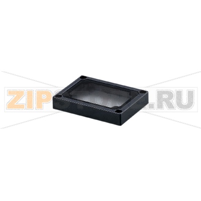 Рама лицевая IFM E21243 