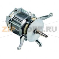 Мотор вентилятора с сальником Rational C CCD 61/101/201 начиная с 05/1993