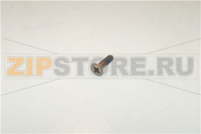 SCREW TSPC H M3x10 WITH THREADLOCKER 