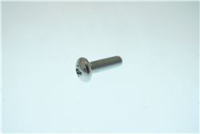0070601302 Screw