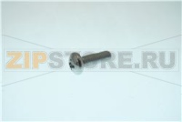 0070601302 Screw