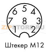 Кабель датчика / исполнительного устройства; 8-пол.; Длина: 10 м Wago 756-5312/090-100 Краткое описание:Полиуретан, безгалогенныйПодходят для кабельных цепейХорошая устойчивость к микробам, щелочам, химикатам и УФ-излучению. Высокая химическая устойчивость....