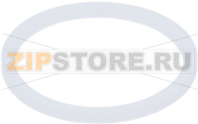GASKET PTFE ø 22x17x2 mm G.IZZO 