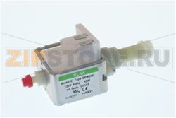 Pompa EP4GW 120V 60Hz 