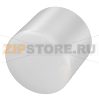 Крышка защитная и крышка портов Balluff BAM00A0