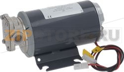 ELETTROPOMPA OLIO UP6 24V 