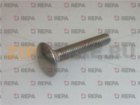 VITE A TESTA TONDA M5x25