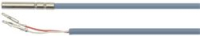 Dixell NTC temperature probe, length = 2
