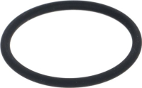 O-Ring V 2087