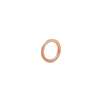 Кольцо уплотнительное Norgren 48021306