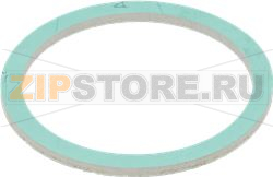 GUARNIZIONE PIANA ESENTE ø 68x58x3 mm 