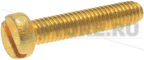 LOCKING SCREW 