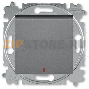 Переключатель одноклавишный с контрольной подсветкой, сталь ABB 2CHH592545A6069 