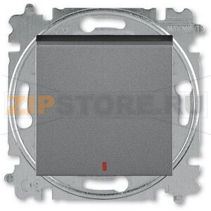 Переключатель одноклавишный с контрольной подсветкой, сталь ABB 2CHH592545A6069 