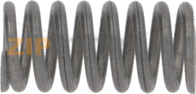 EXHAUST SPRING 