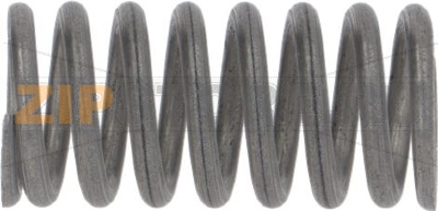 EXHAUST SPRING 