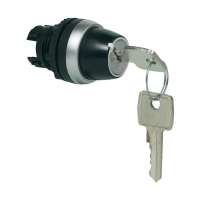 Выключатель с ключом, хромированный, 1x90°, 1 шт Baco L21LF00