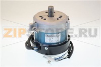 MOTOR 300 TF WITH FLAT PLATE Y11