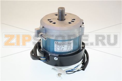 MOTOR 300 TF WITH FLAT PLATE Y11 