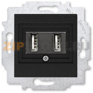 USB-розетка двойная, антрацитовая ABB 2CHH290040A6063 