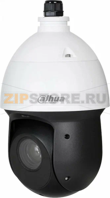 IP-видеокамера, PTZ, купольная Dahua DH-SD49216DB-HNY 