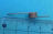 Exit shaft left spring NCR 