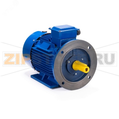 Электродвигатель 3 кВт, 220/380 В, 750 об/мин, IP55 ESQ 01.05.220476 