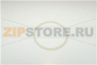 GUARNIZIONE SPORTELLO