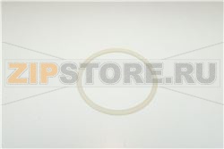 GUARNIZIONE SPORTELLO 