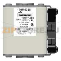 Предохранитель, 250 A, AC 1250 В, 100 кА, size 2, 61x75x77 мм, aR, IEC UL Eaton FUSE 250A 1250