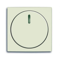 Накладка с поворотной ручкой ABB 2CKA006599A2992