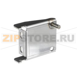 HINGE R/H LOWER 