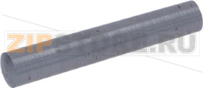 PLUG N50 11/64 X ø 1 