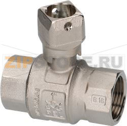 BALL VALVE [C] 1FF 