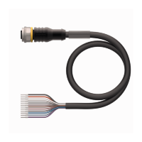Кабель PVC Turck RKC12T-2/TEL