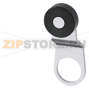 ПОВОРОТНЫЙ РЫЧАГ АКТУАТОРА ДЛЯ ПОЗИЦИОННОГО ВЫКЛЮЧАТЕЛЯ 3SE51, МЕТ. РЫЧАГ 35MM, ШАГ 9MM, С ПЛАСТИКОВЫМ РОЛИКОМ 19MM Siemens 3SE5000-0AA15 