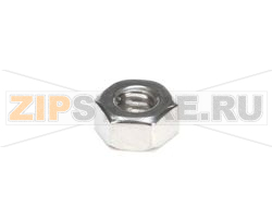 NUT 1/4-20 S/S F 