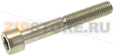 ВИНТ С ЦИЛИНДРИЧЕСКОЙ ГОЛОВКОЙ M10x70 RATIONAL 2016.1456P 